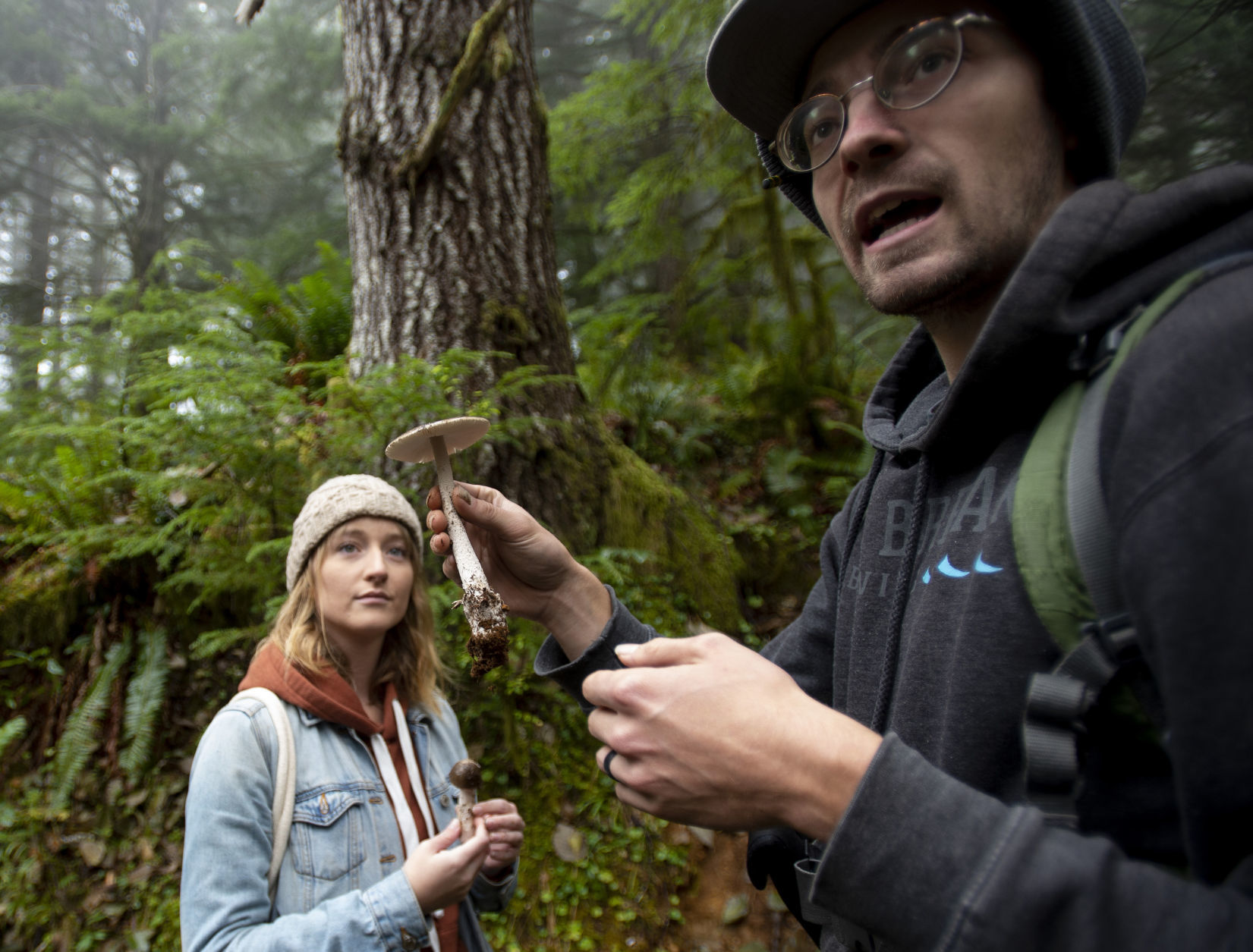 Coast Range Watch Mushroom Walk